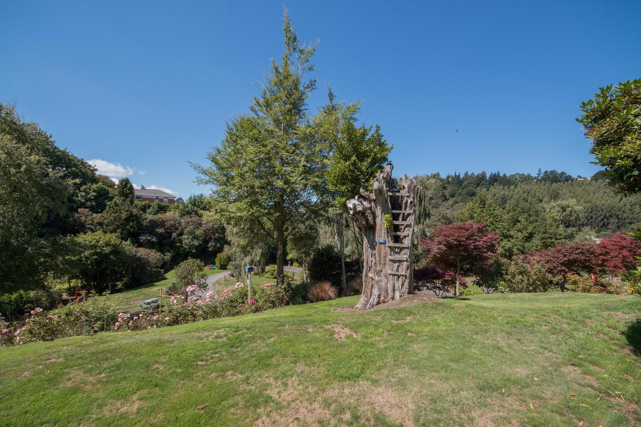 Aaron Lodge Holiday Park Ντούνεντιν Εξωτερικό φωτογραφία